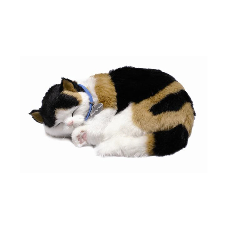 Brown, white and black calico cat sleeping.