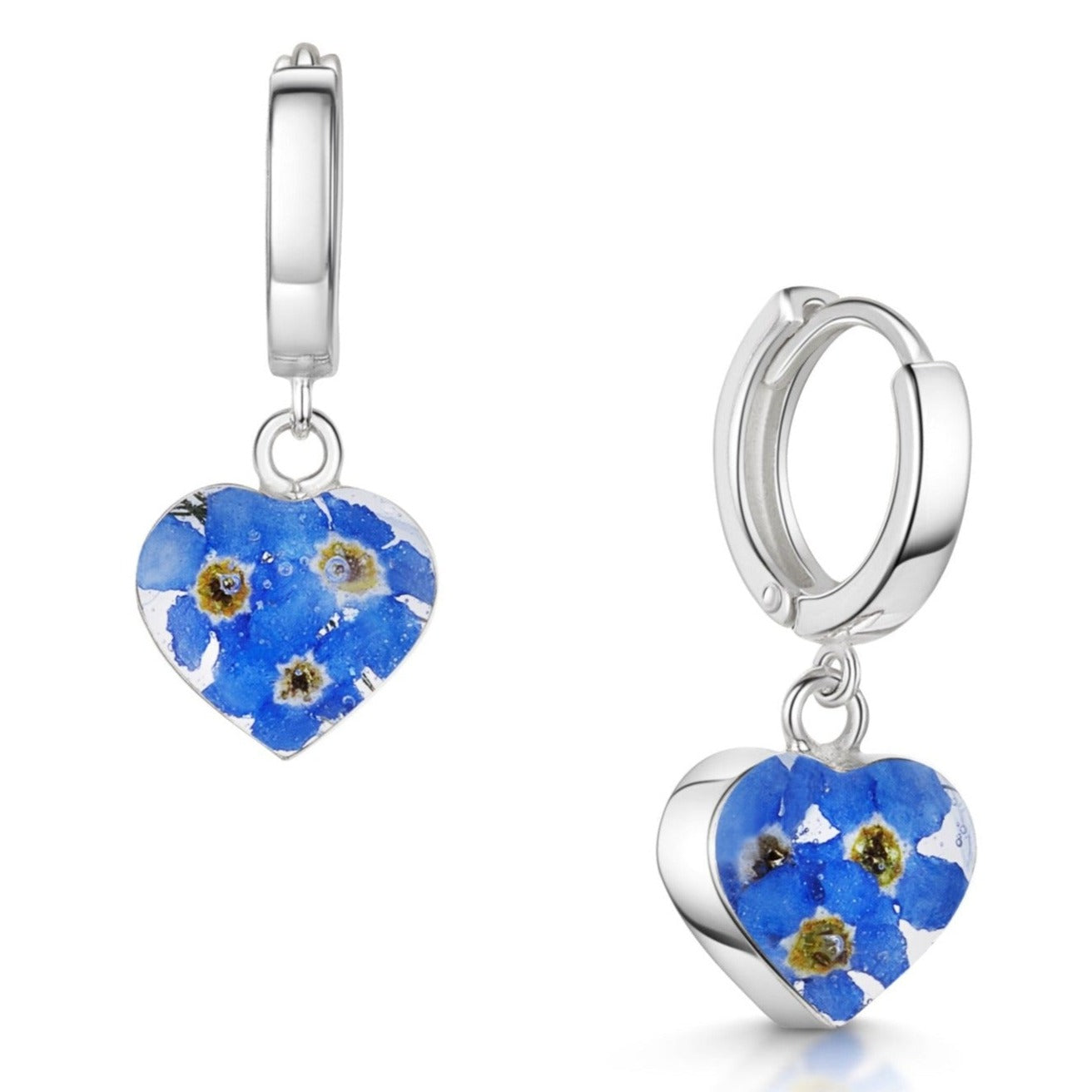 Sterling silver hinged, huggie earrings from which hang a sterling silver heart filled with real forget-me-not flowers set in resin.