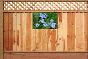 Forget-me-not fence art