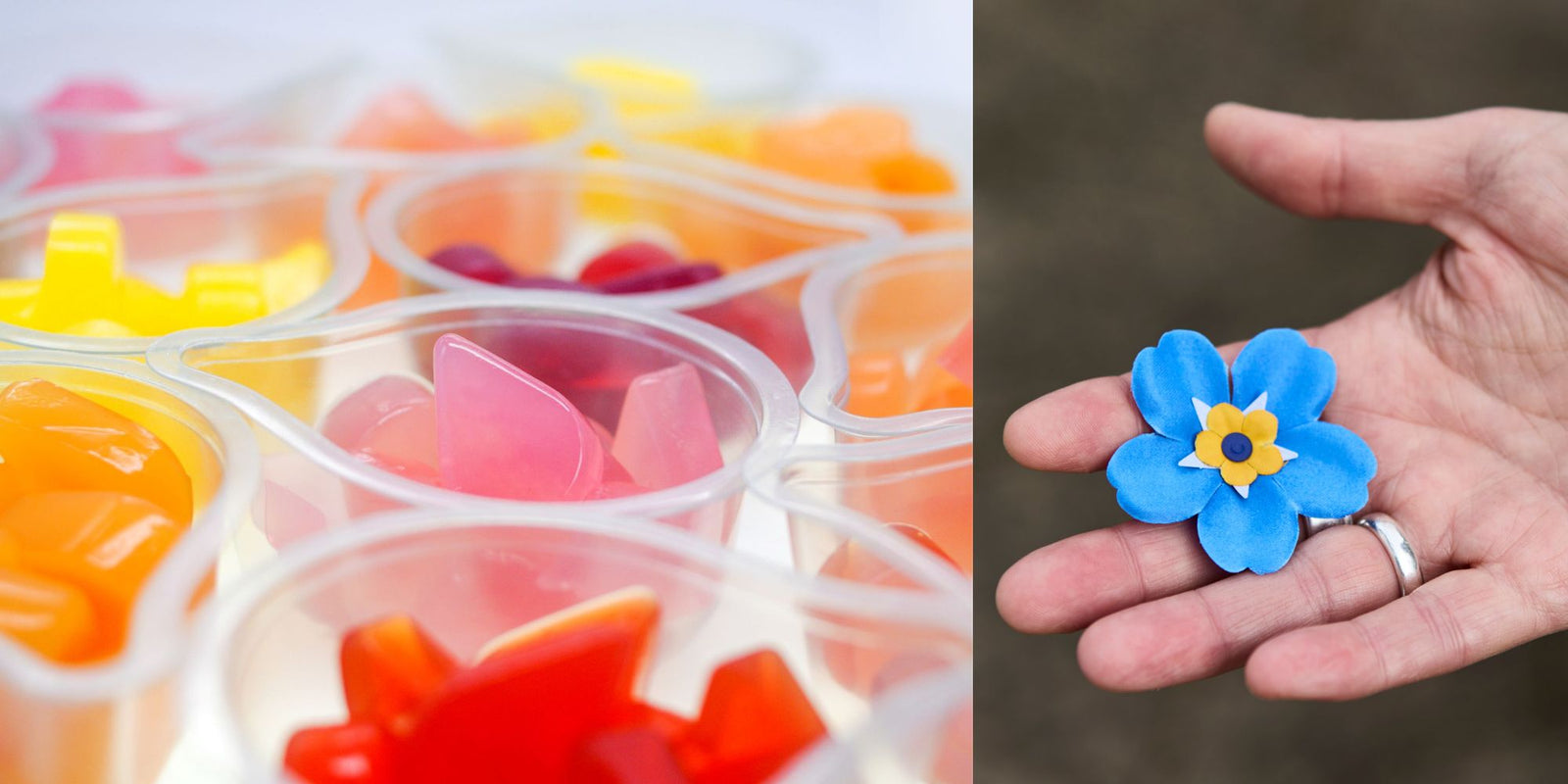 Colourful jelly drops in a tray next to a hand holding a blue forget me not shaped badge