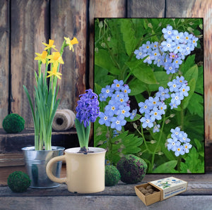 Forget-me-not fence art