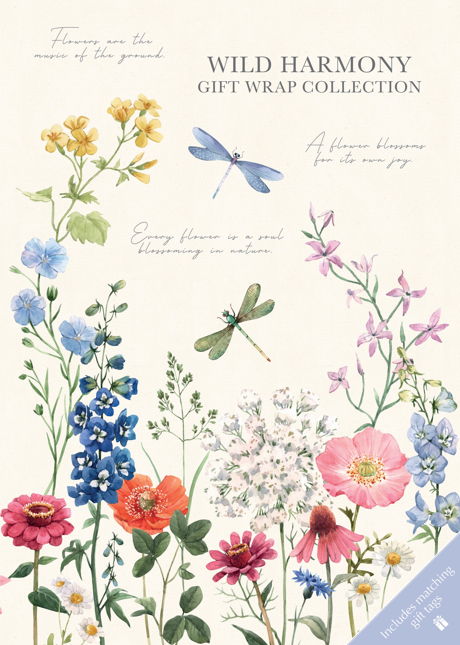 Gift wrap collection with wild flowers and dragonflies on a white background
