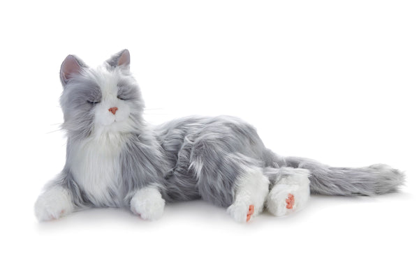Silver tabby cat robotic companion pet - Alzheimer's Society
