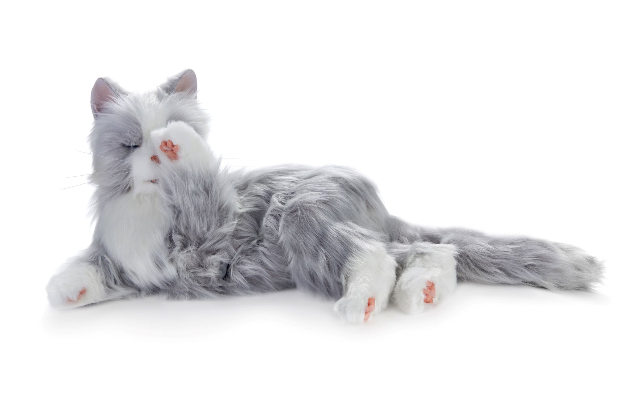 Silver tabby cat robotic companion pet - Alzheimer's Society