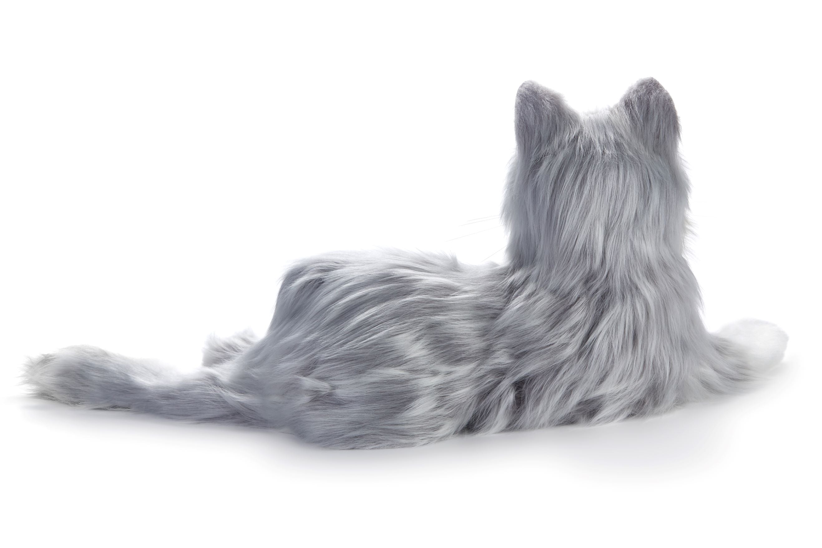 Grey_Cat_45_web_5000x.jpg?v=