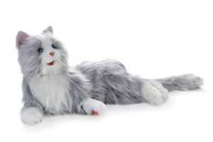 Silver tabby cat robotic companion pet