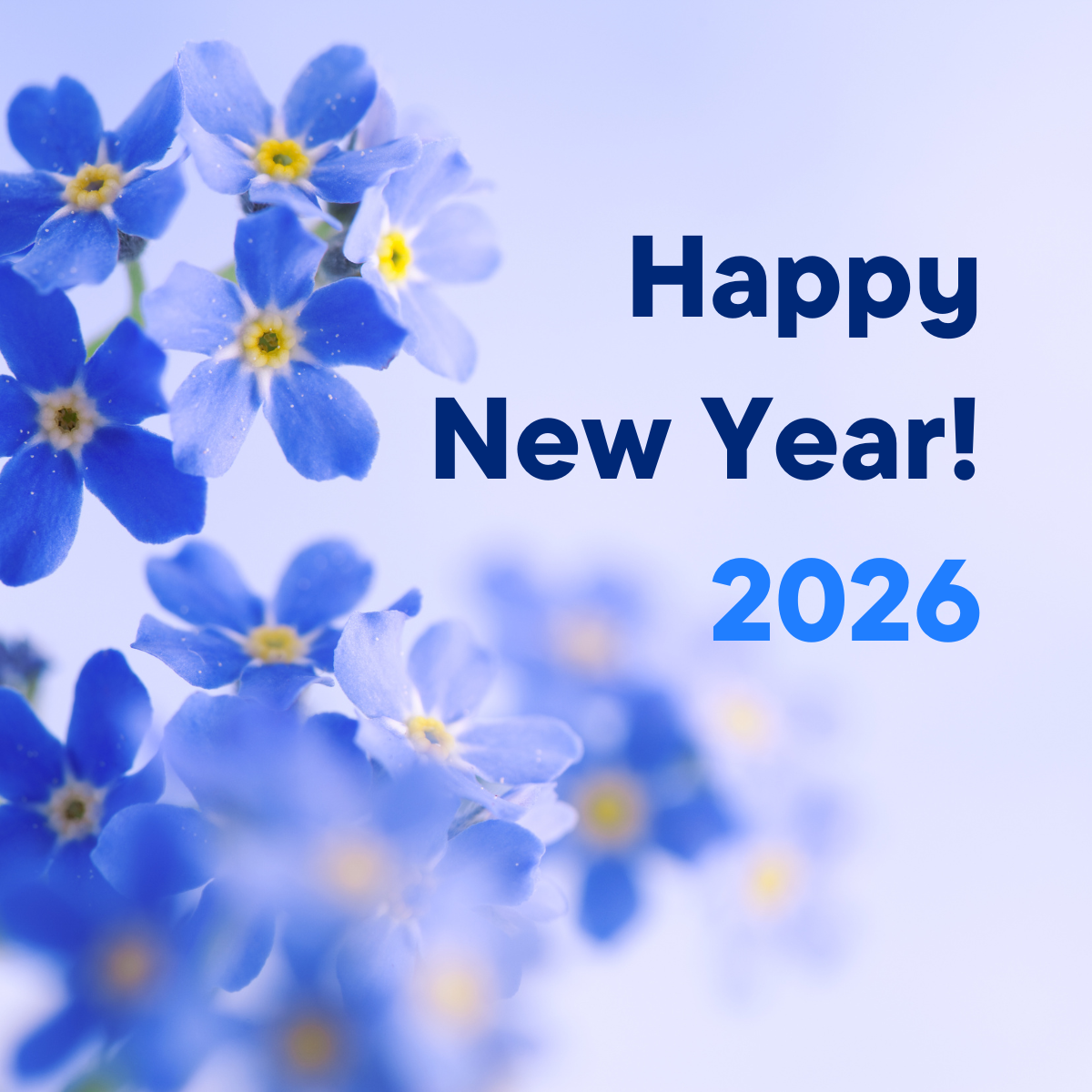 Blue forget-me-not flowers with 'Happy New Year! 2026' text on a light blue background