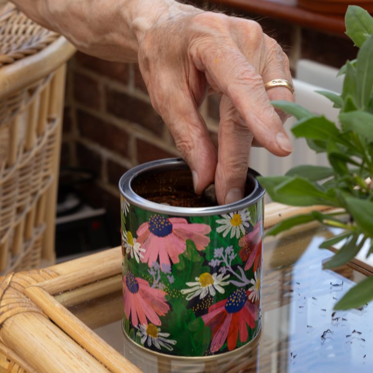 Someone's hand planting a seedball into soil in a floral decorated tin which is sat on a table next to a plant.