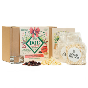 Christmas dog biscuit making kit