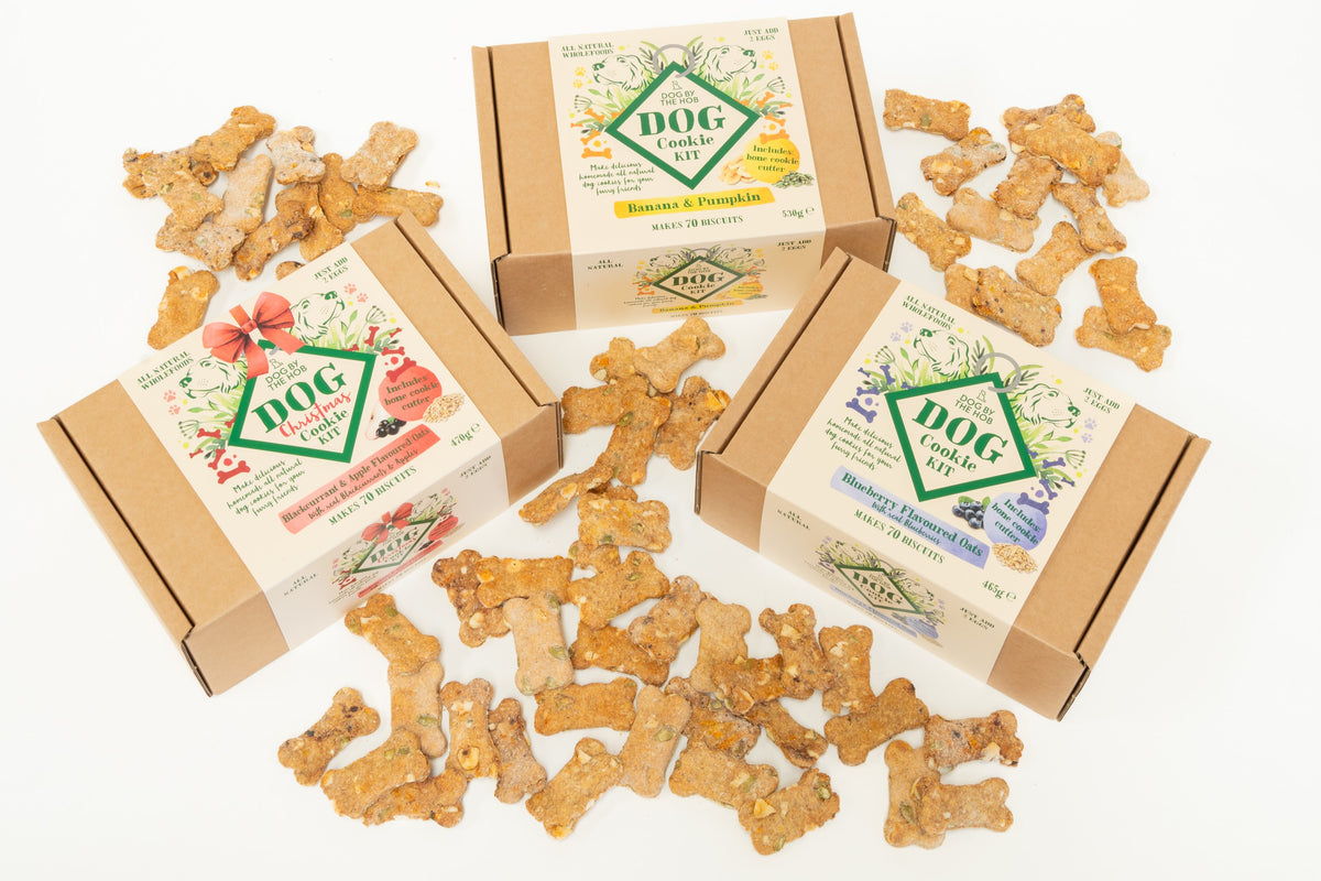 Blueberry and oat dog biscuit making kit