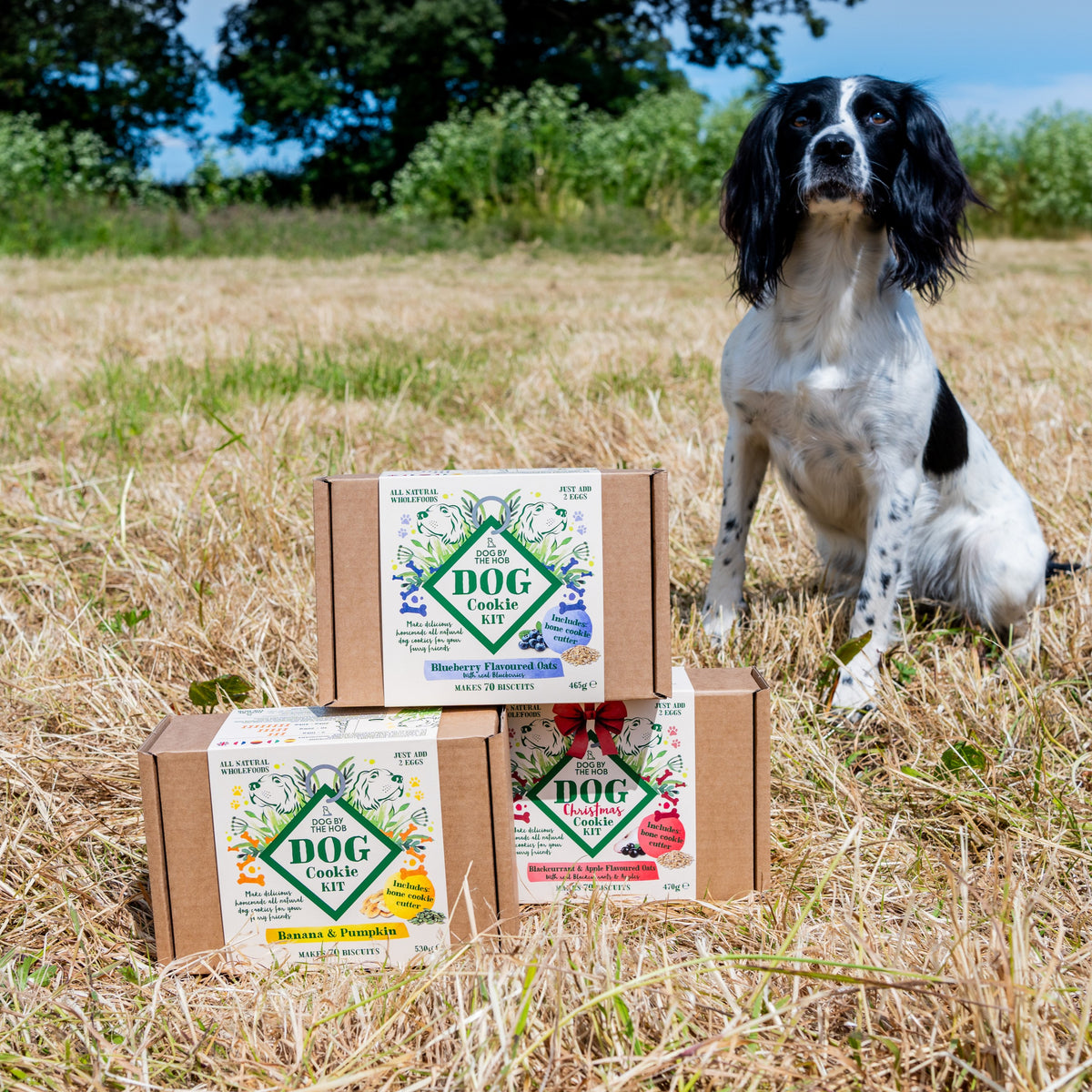 Blueberry and oat dog biscuit making kit