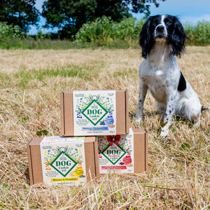 Blueberry and oat dog biscuit making kit
