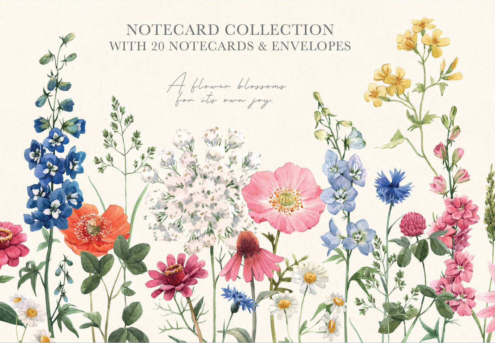 Notecard collection with watercolor flowers on a white background
