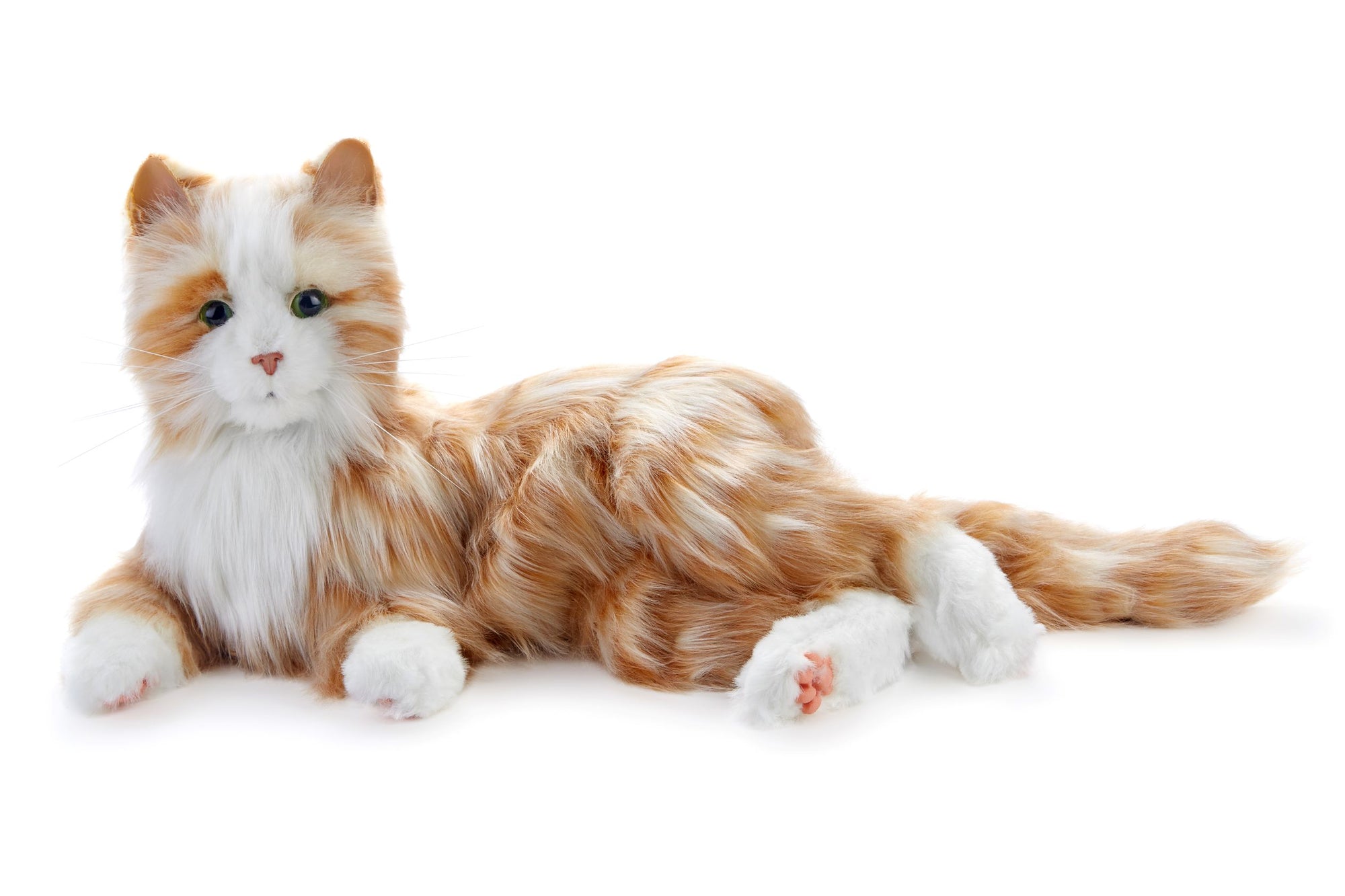 A ginger and white facsimile cat, with 100% synthetic fur, is lying on its side, with its head upright.  The cat has blue eyes, a white muzzle and pink nose and looks directly at us with an alert expression. It has four white feet, with one foot turned so that the pink pads are visible.
