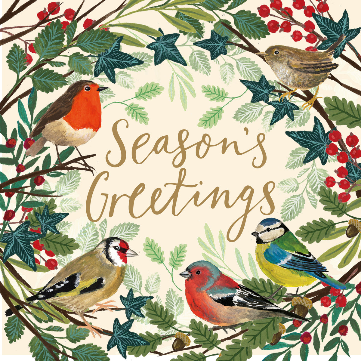 Garden birds, pack of 10 cards
