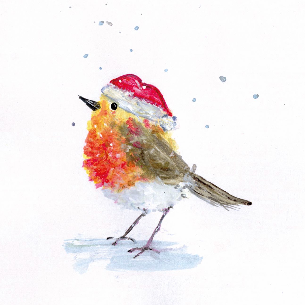 Robin, pack of 10 cards
