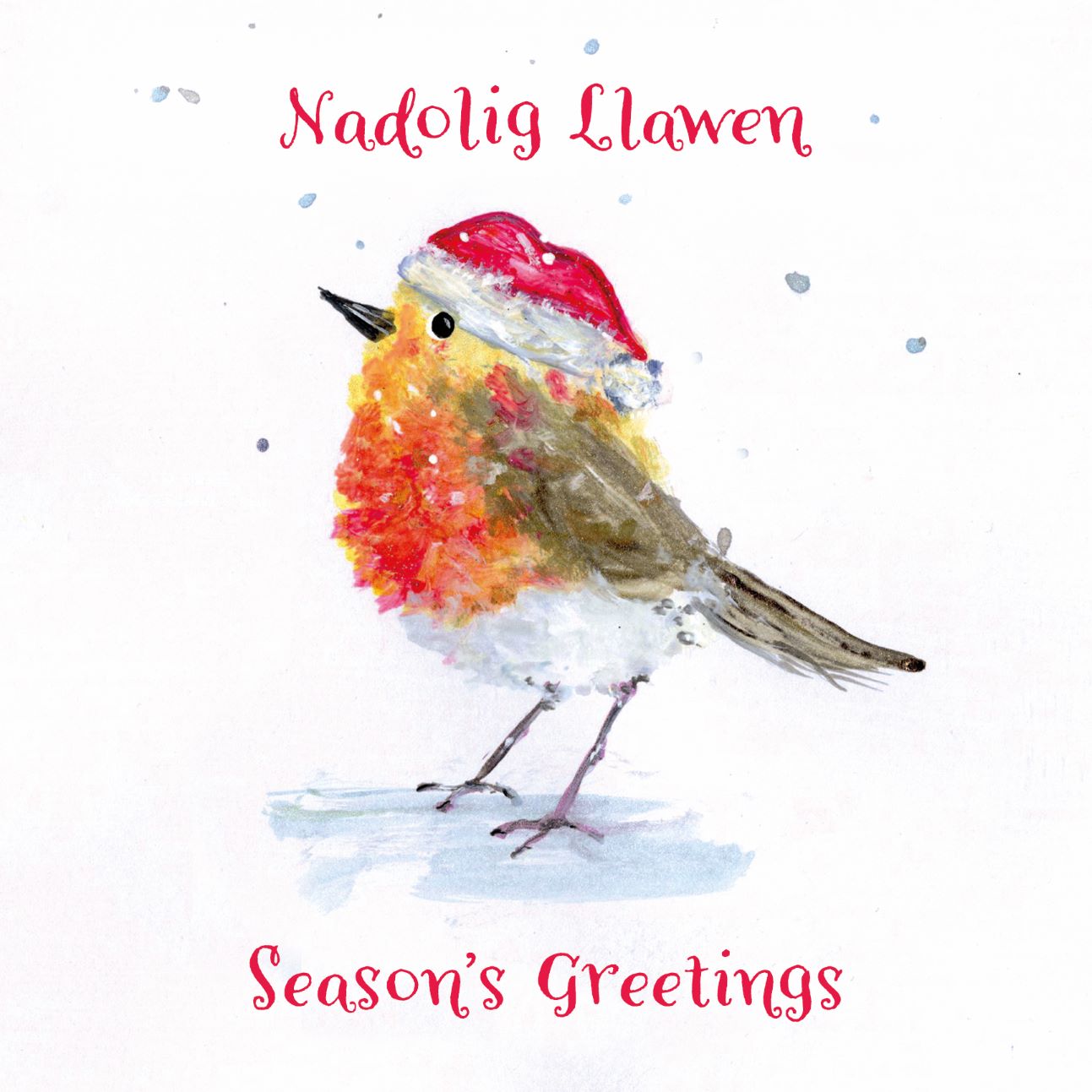 Robin with Welsh & English, pack of 10 cards
