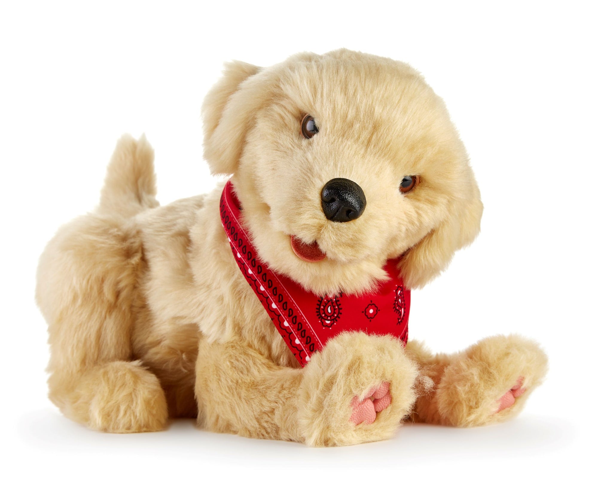 Golden pup robotic companion pet Alzheimer's Society