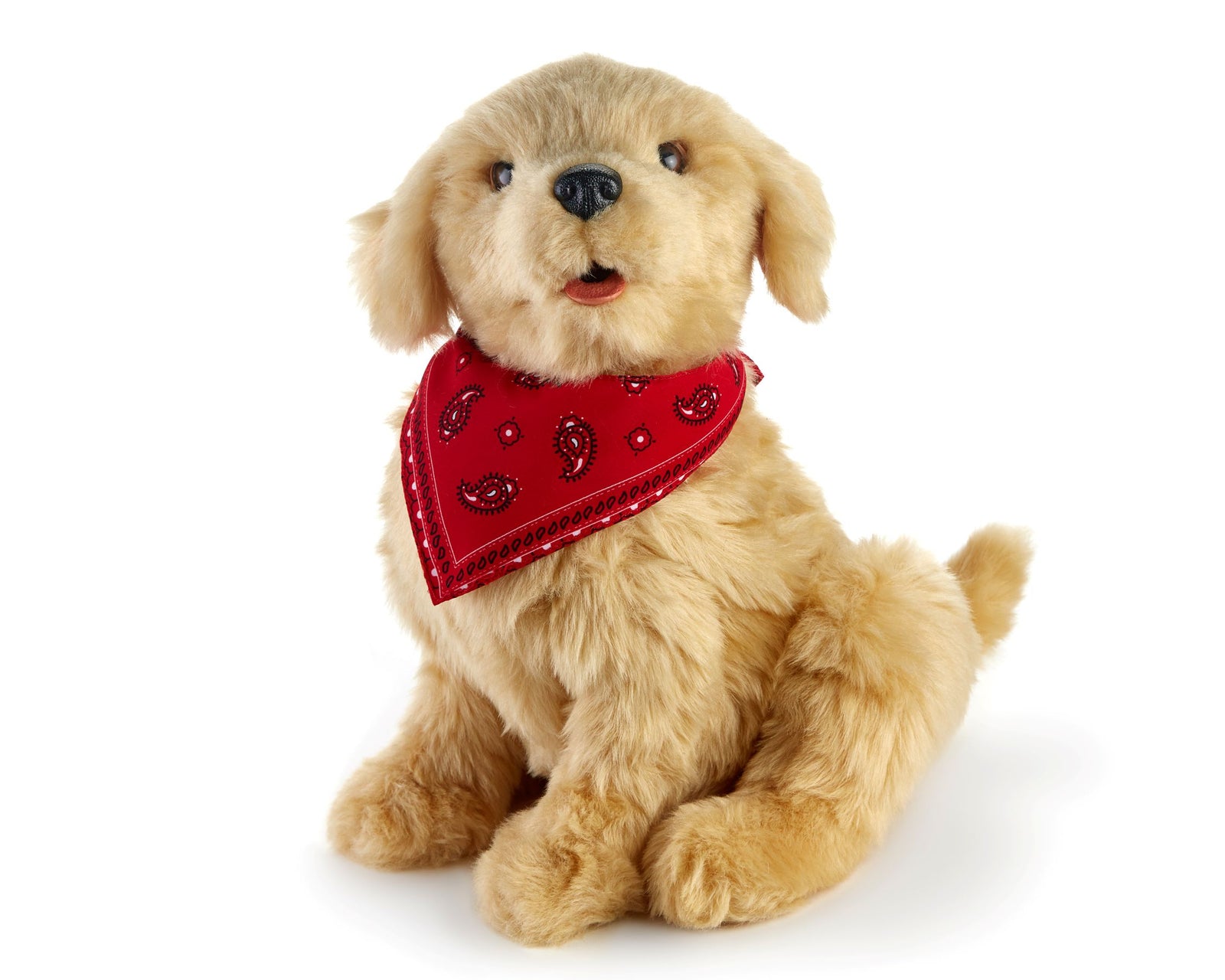 Golden pup robotic companion pet