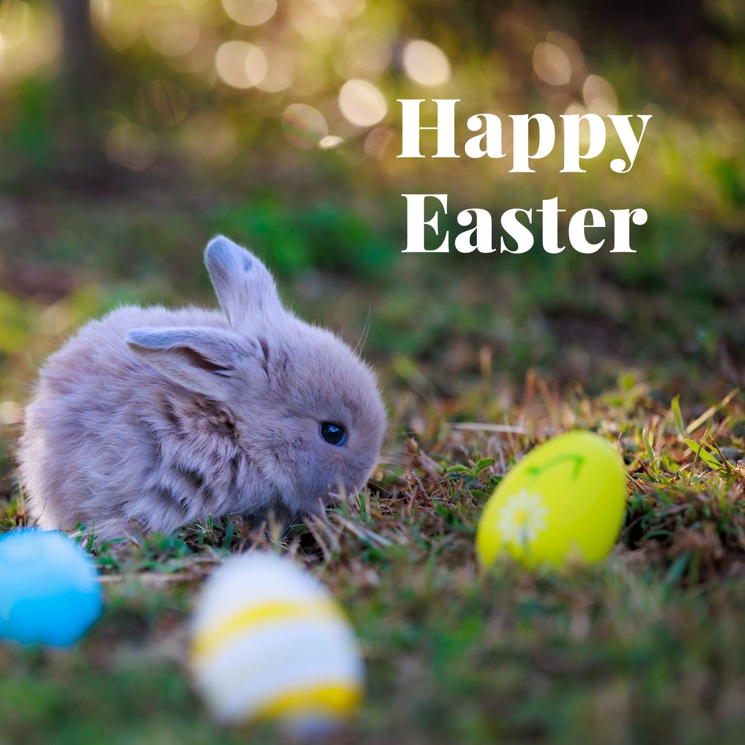 Happy Easter eCards - Alzheimer's Society