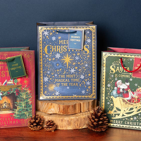 Magical time- medium gift bag