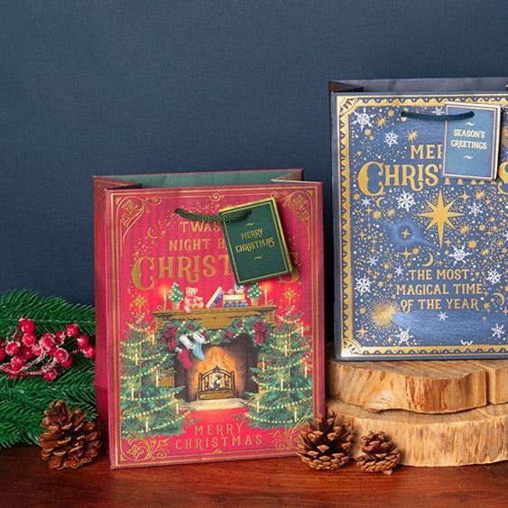 Twas the night - medium gift bag