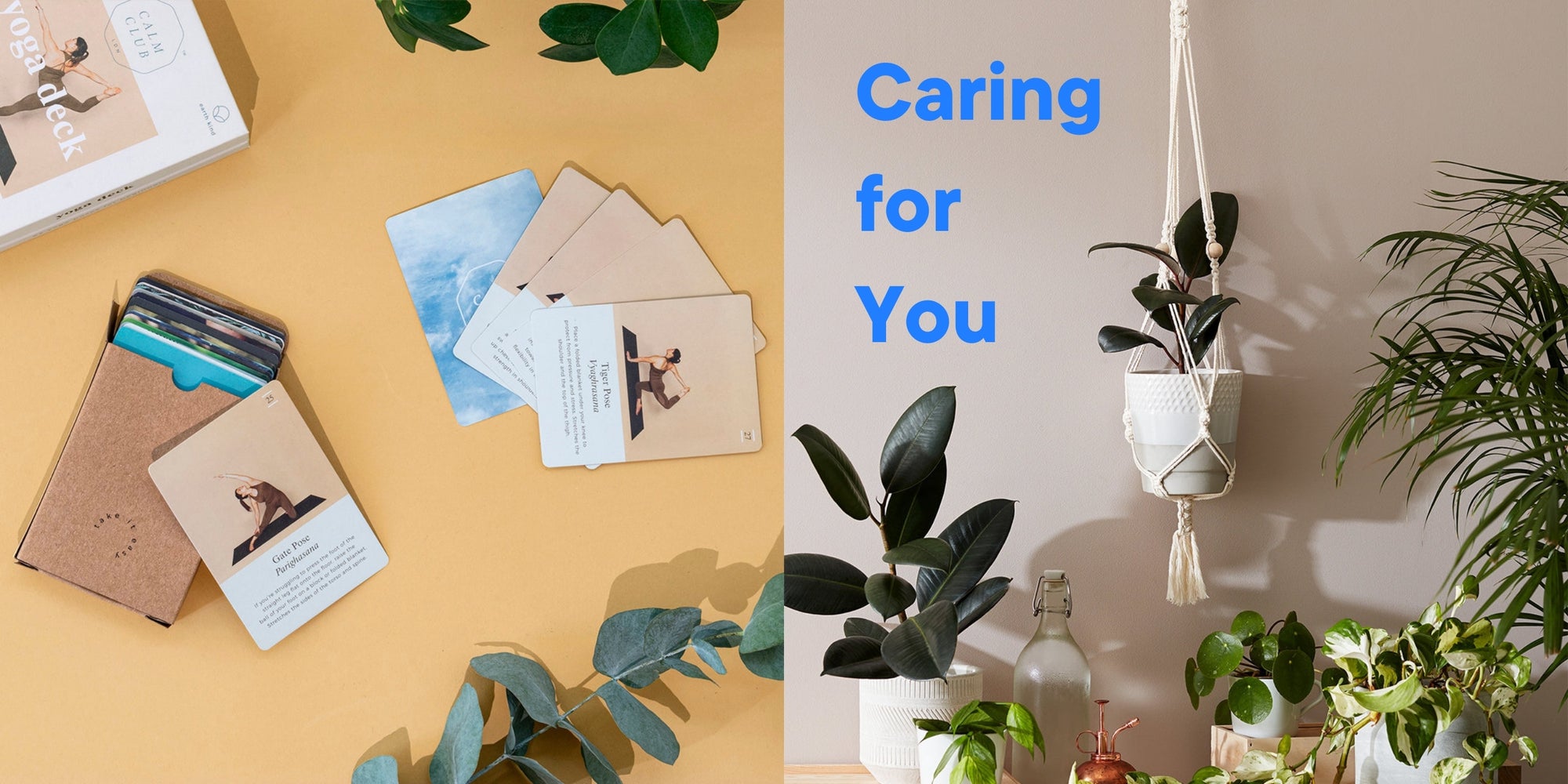 A Yoga deck of cards and a hanging plant-pot macrame kit - reminding people to care for themselves with one of our wellbeing activities..