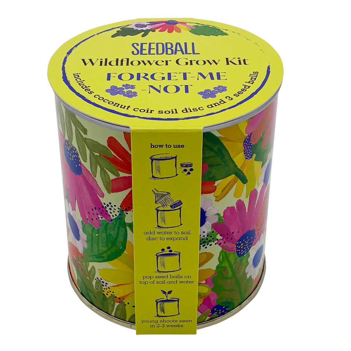Forget-me-not seedball tin