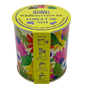 Forget-me-not seedball tin