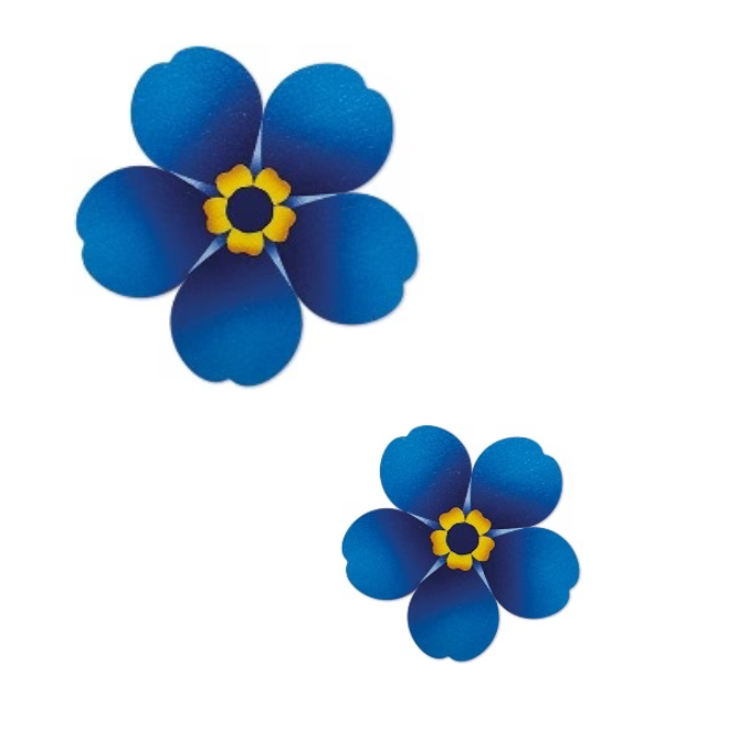 Two forget-me-not wooden pin badges. One large and one small on a White background.