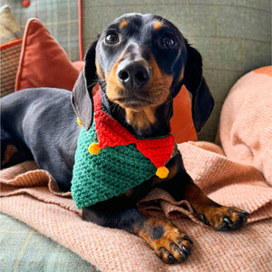 Elf pet bandana