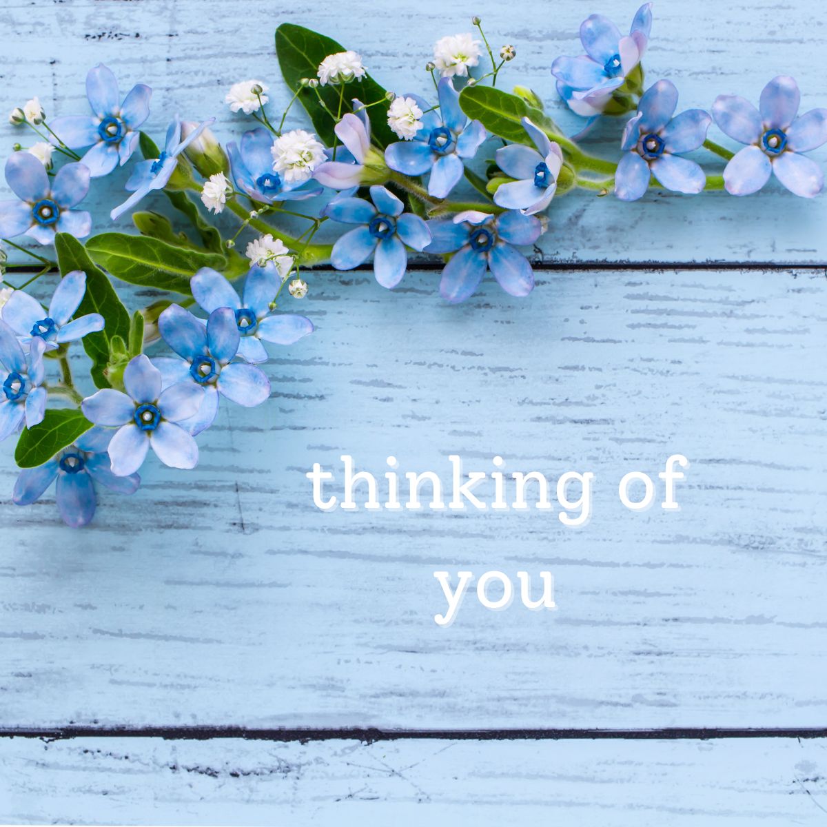 Thinking of you eCards