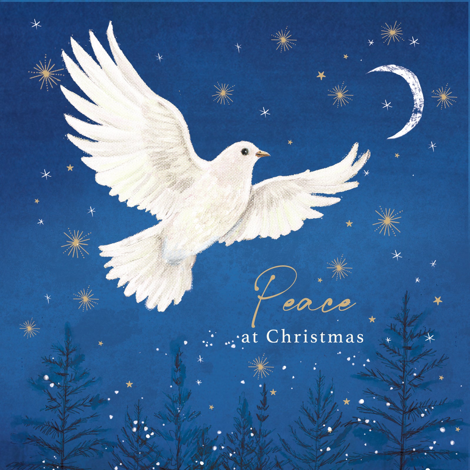 Flying dove on a starry night sky with a crescent moon and wording Peace at Christmas.