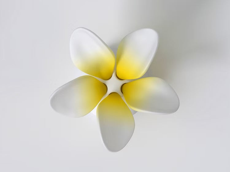Frangipani flower puzzle