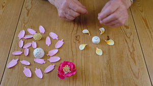 Frangipani flower puzzle