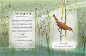 The little book of wetland bird sounds