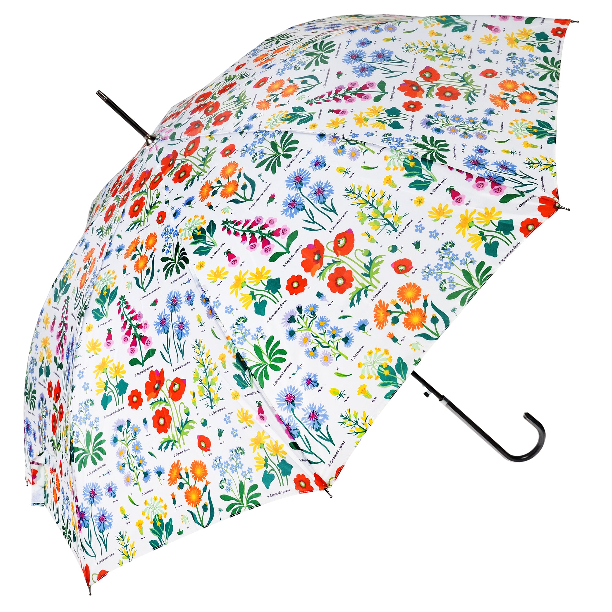 Wildflower umbrella