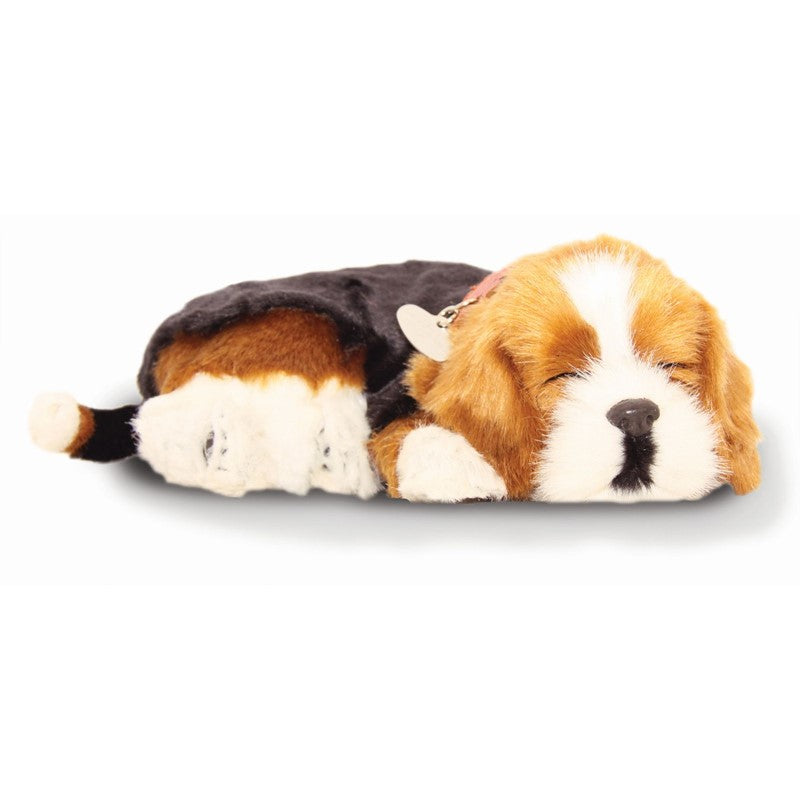 Los Mejores Perros de Peluche en Amazon para Tu Compañero Los Mejores Perros de Peluche en Amazon para Tu Compañero