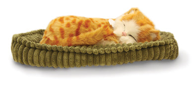 Precious Petzzz - Ginger Tabby Cat