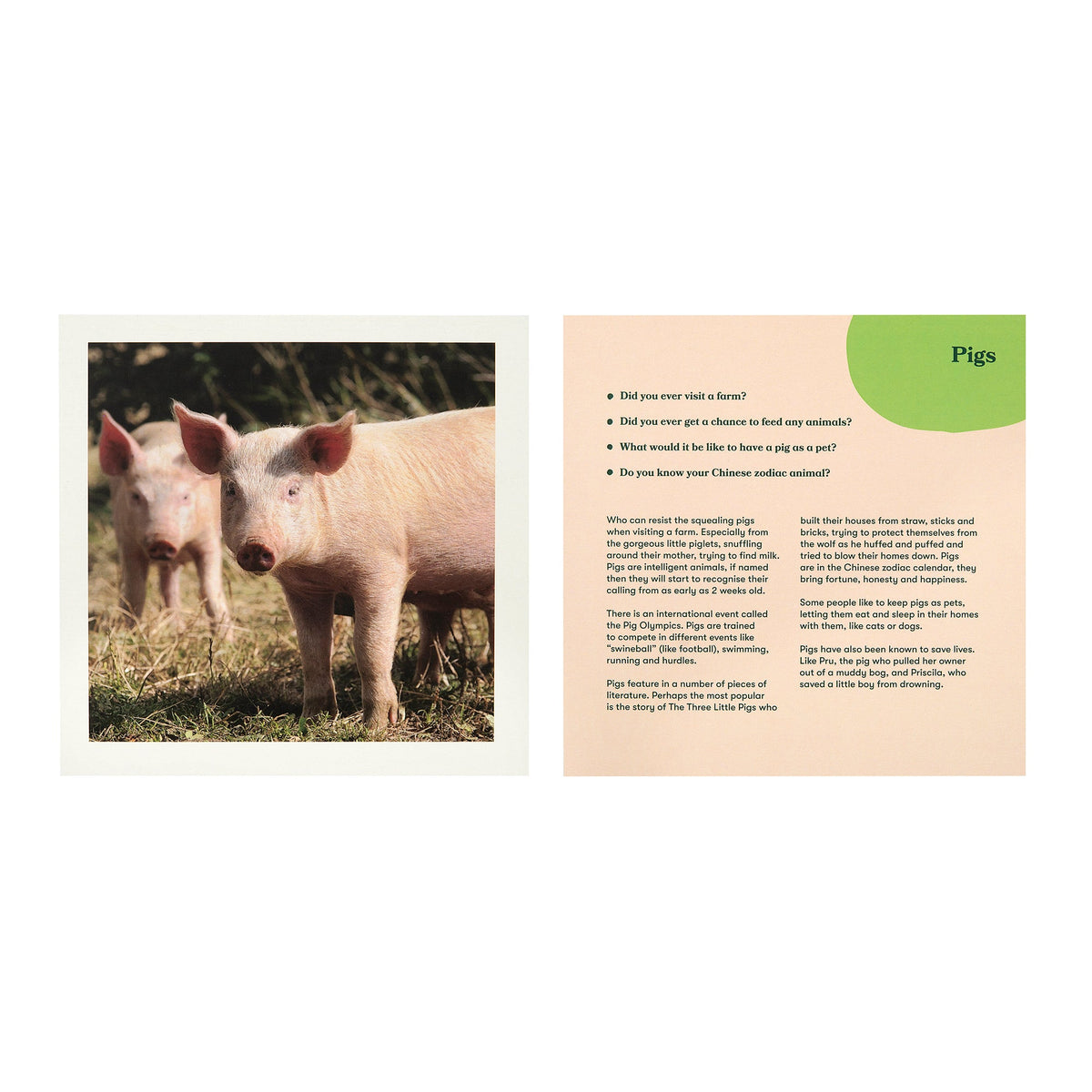 Animal album reminiscence cards - VAT free