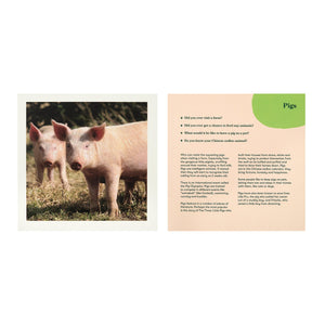 Animal album reminiscence cards - VAT free