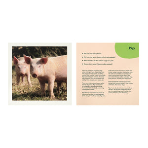 Animal album reminiscence cards