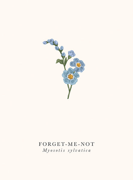 Forget-me-not - Single Card