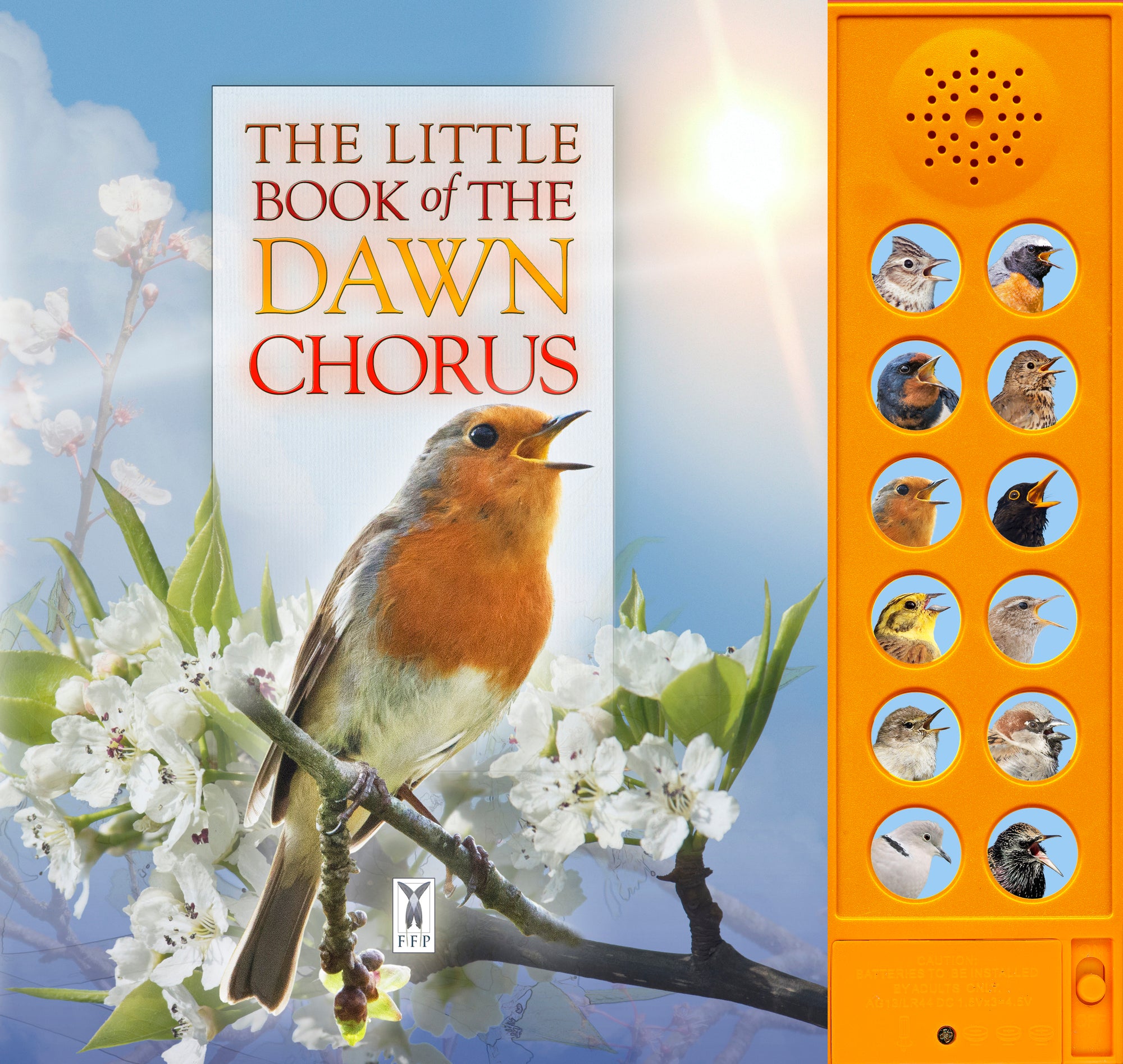 The little book of dawn chorus