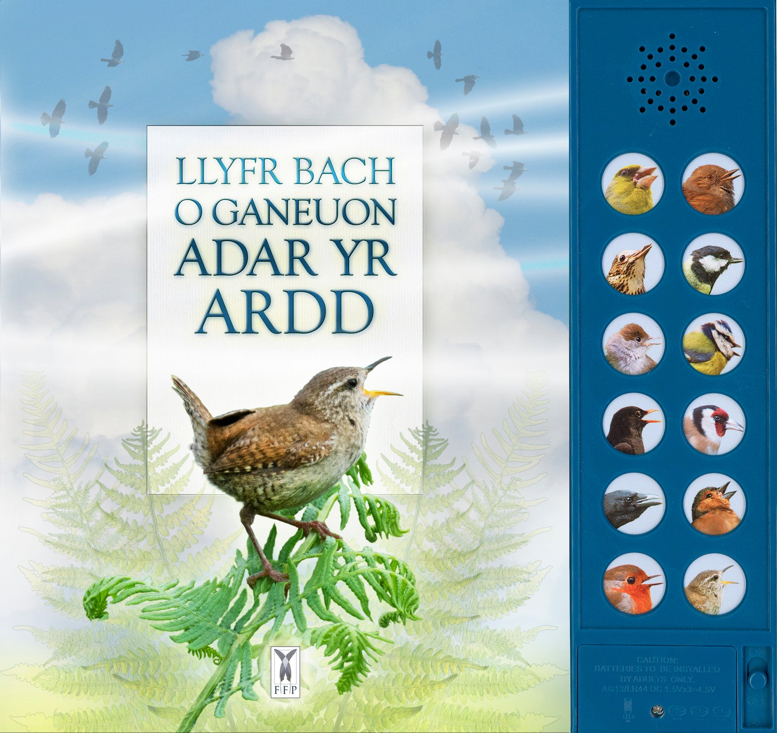 The little book of garden bird songs - Welsh text