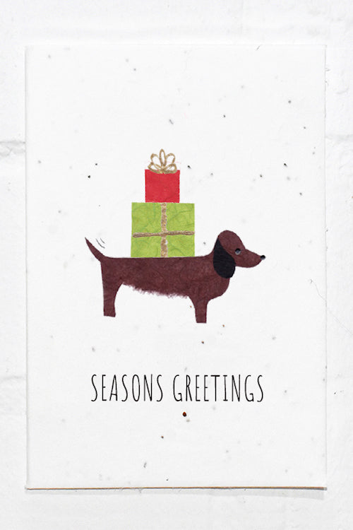 Eco Seed festive sausage dog  - Single Card