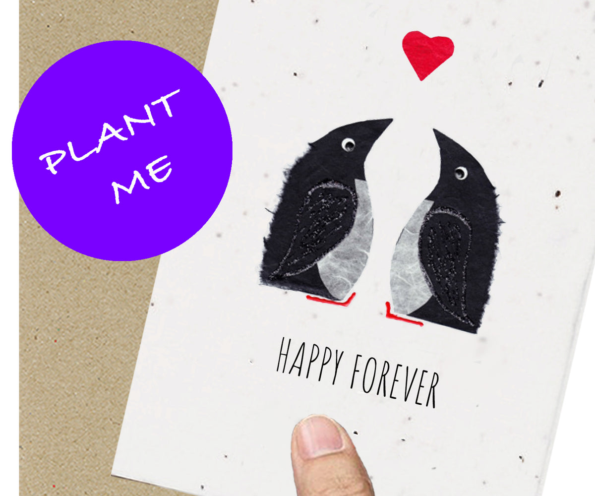 Eco Seed Happy Forever Penguins  - Single Card