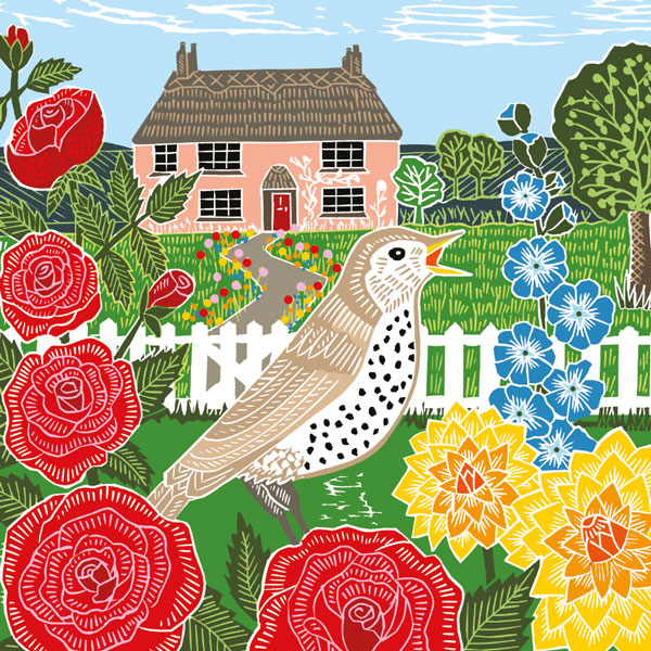 Thrush and Cottage - Single Card