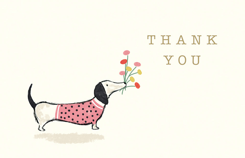 Thank you cards daschund, pack of 8