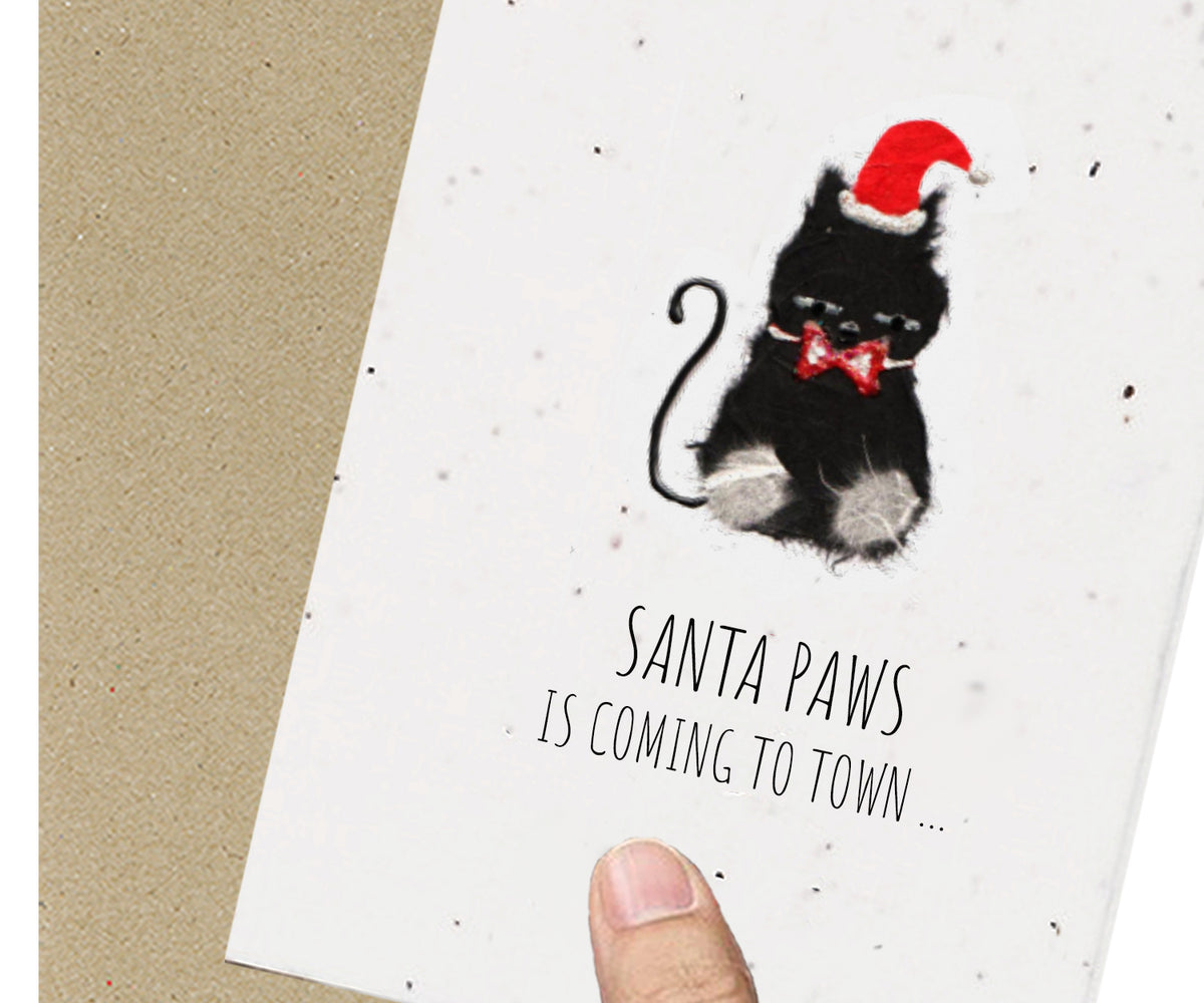 Eco Seed Christmas cat  - Single Card